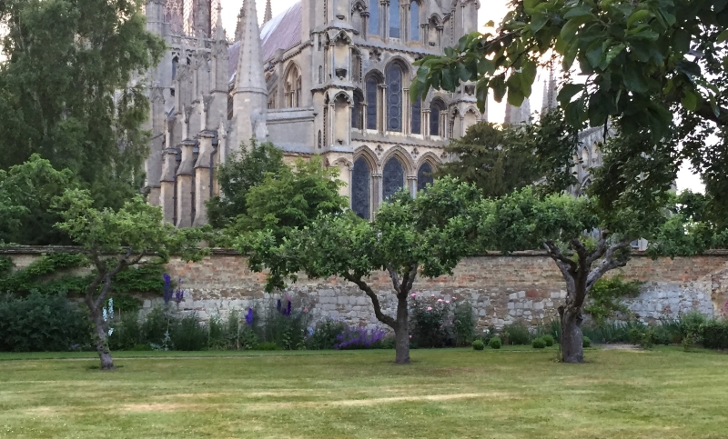 Ely Open Gardens